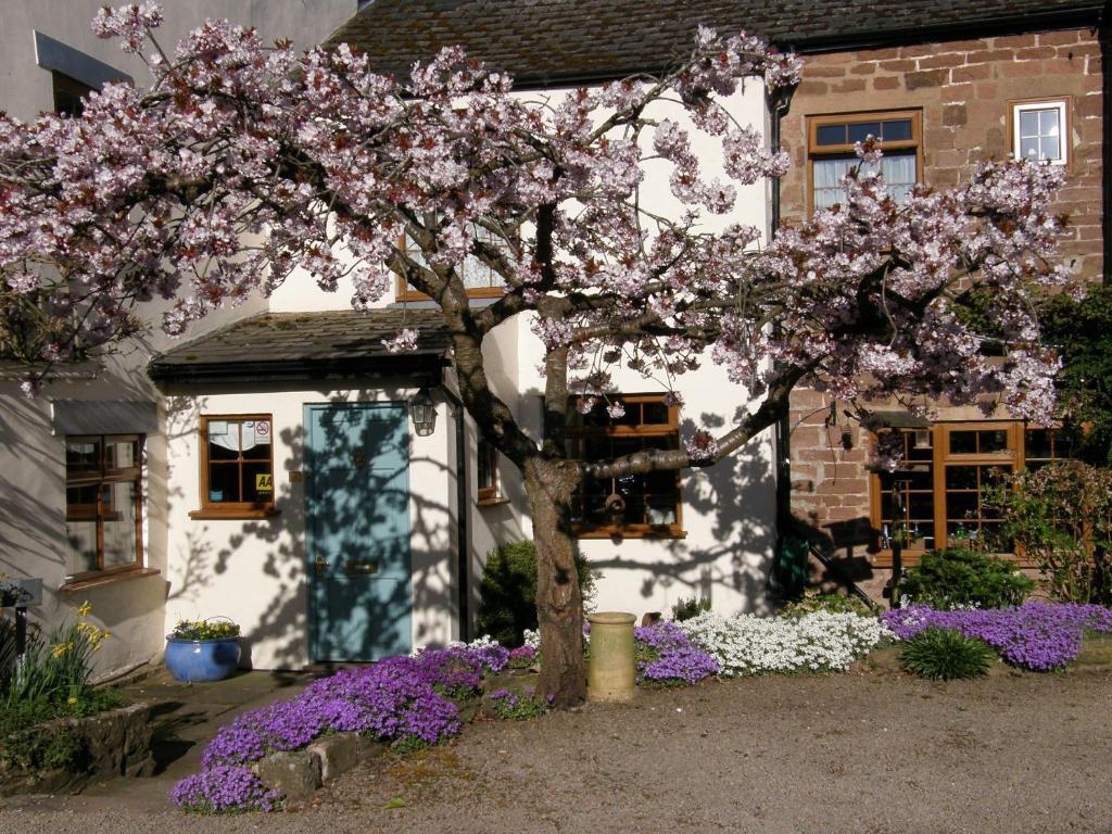 Lea House Bed And Breakfast Ross-on-Wye Dış mekan fotoğraf