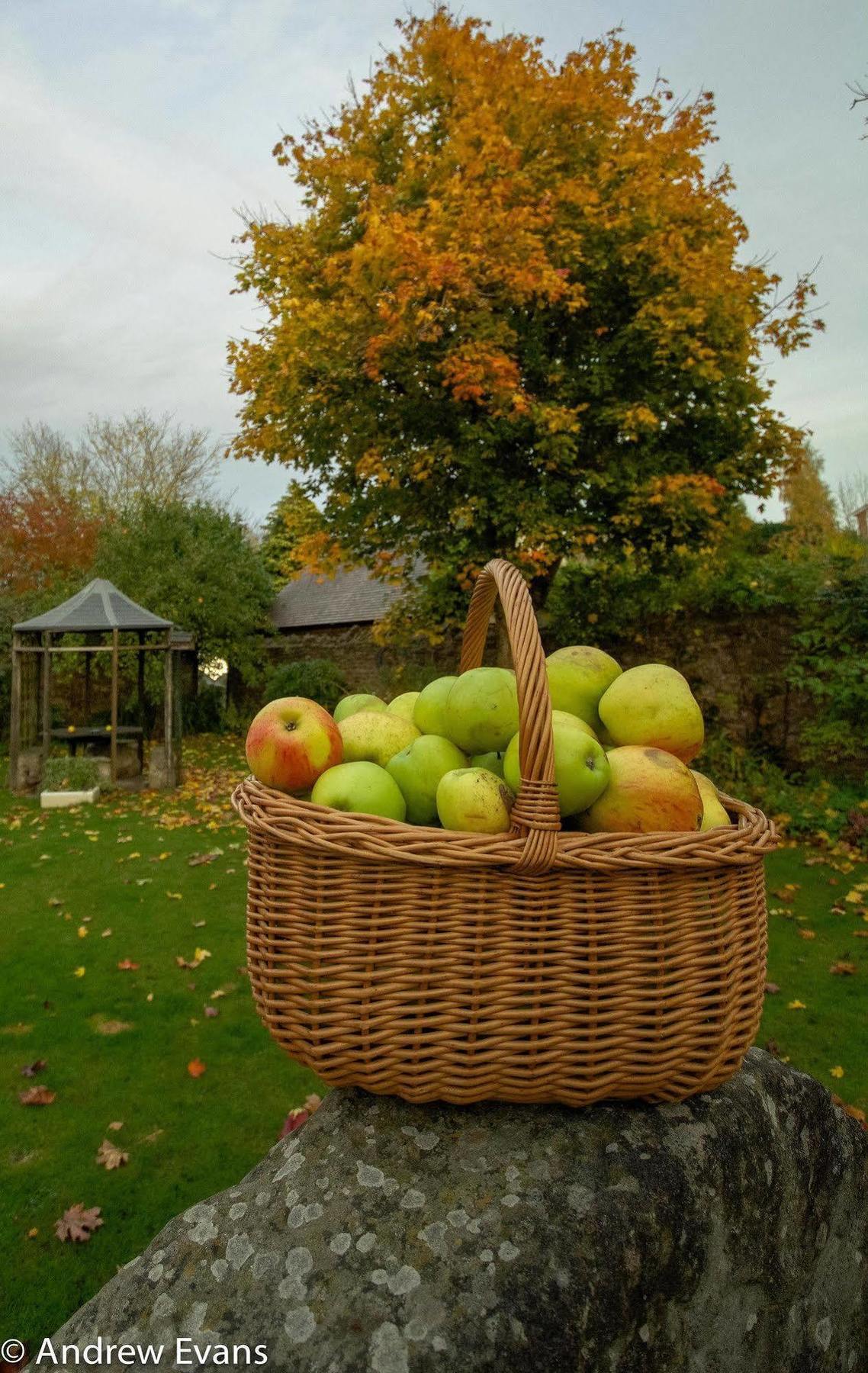 Lea House Bed And Breakfast Ross-on-Wye Dış mekan fotoğraf